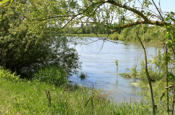 Un río — Foto de Stock