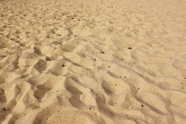 Plage de sable fin — Photo
