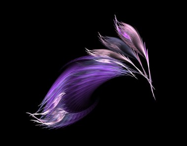 Violet feathers clipart