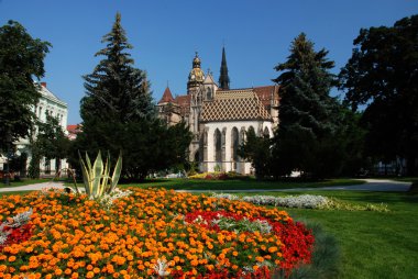 St Elizabeth's Catedral