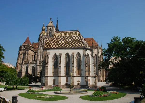 stock image St. Elizabeth's Catedral