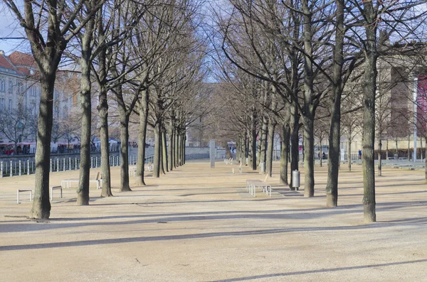 stock image Tree ways in Berlin opposite to Berliner Dom