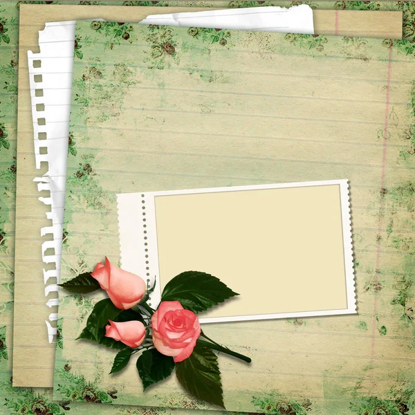 Stamp-frame with roses on vintage background — Stock Photo, Image