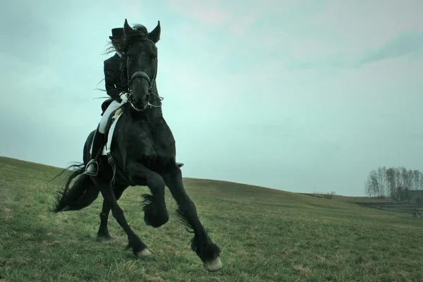 Cavaleiro em um cavalo — Fotografia de Stock