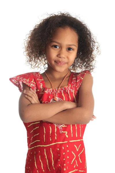 Afro Amerikaanse mooi meisje kinderen met zwarte krullend haar isol Stockafbeelding