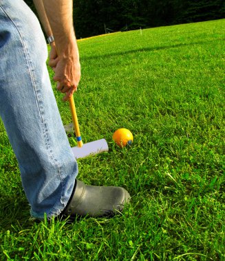 Croquet Close-Up clipart