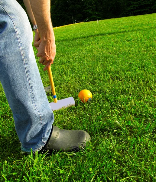 stock image Croquet Close-Up