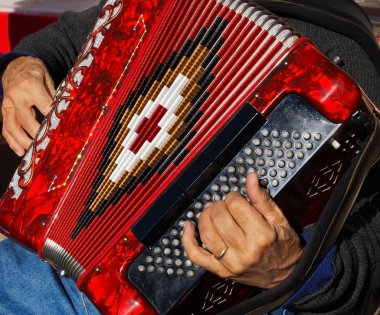 Accordion Player clipart