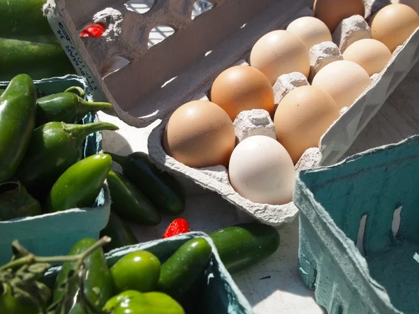 Ferske, brune økologiske egg – stockfoto