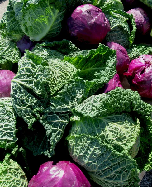 Purple and Green Cabbages — Stock Photo, Image