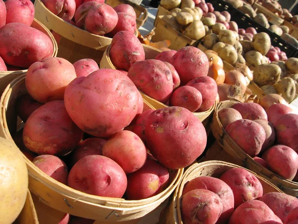 Patate in cestini al mercato contadino — Foto Stock