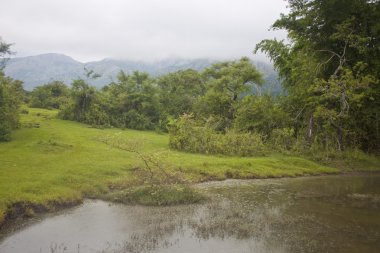 mudumalai Milli Parkı