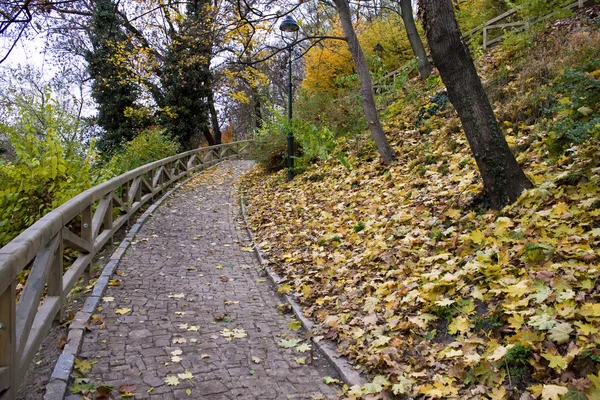 Sonbahar Park yolu — Stok fotoğraf