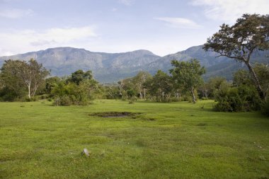 mudumalai Milli Parkı,