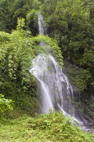 Vodopád v džungli sikkim — Stock fotografie