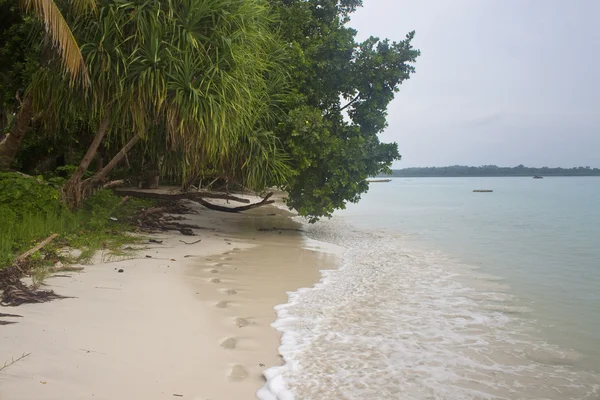 stock image Beach on Havelock island