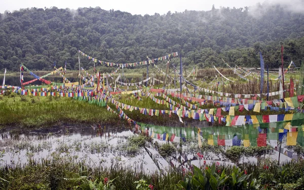 stock image Buddhist flags at sacred lake