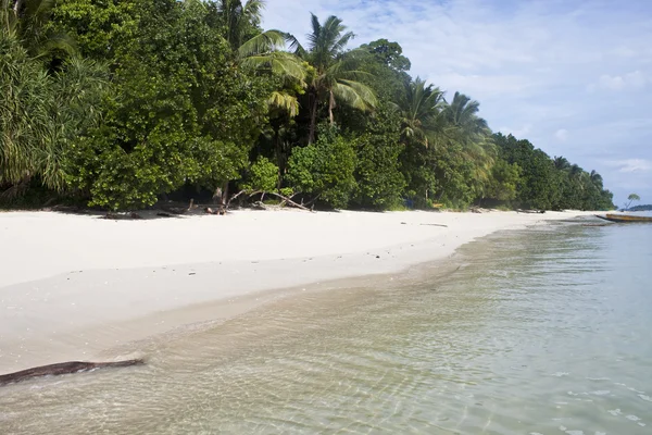 stock image Tropical paradise beach