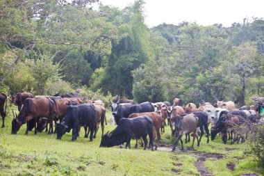 ahşap fotoğraf çerçevesi 3d render