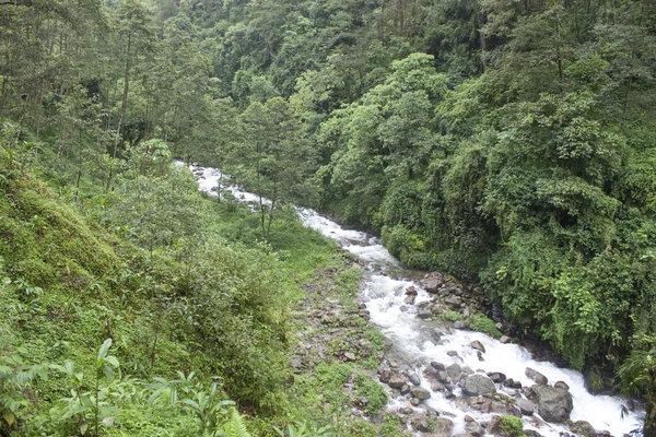 Rivière dans la jungle du Sikkim — Photo