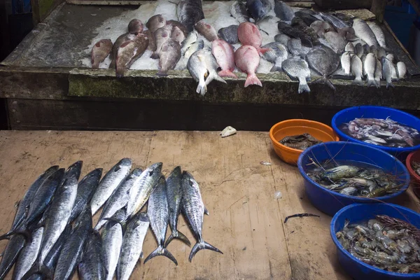Vissen op een markt — Stockfoto