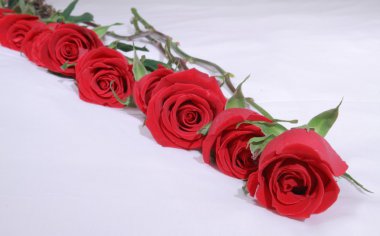 Red roses on a bed clipart