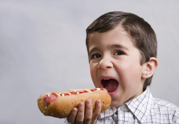 stock image Boy eating hot dog