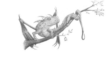 ahşap dragon