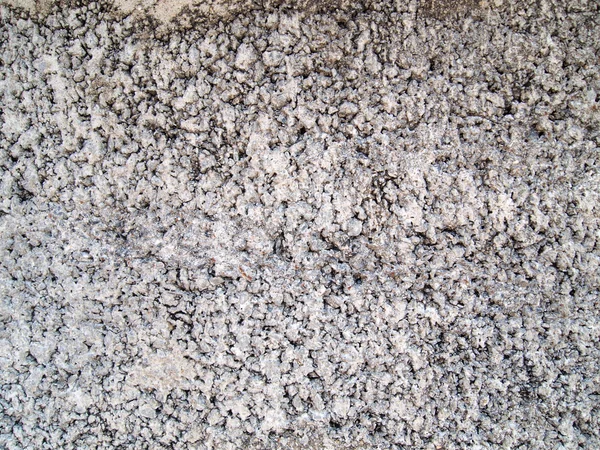 Dinding beton panel — Stok Foto