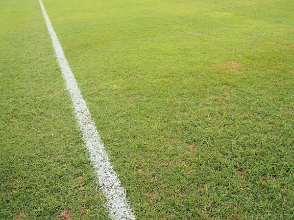 Зеленая трава с белой линией футбольного поля — стоковое фото