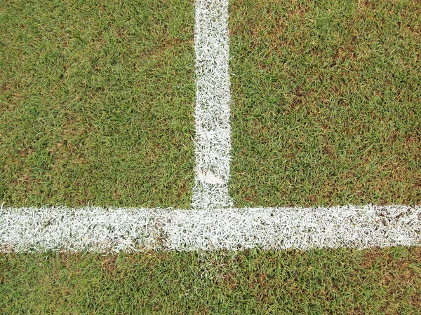 Grönt gräs med vit linje på fotbollsplan — Stockfoto