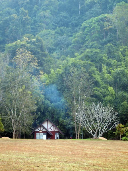 Hus i skoven - Stock-foto