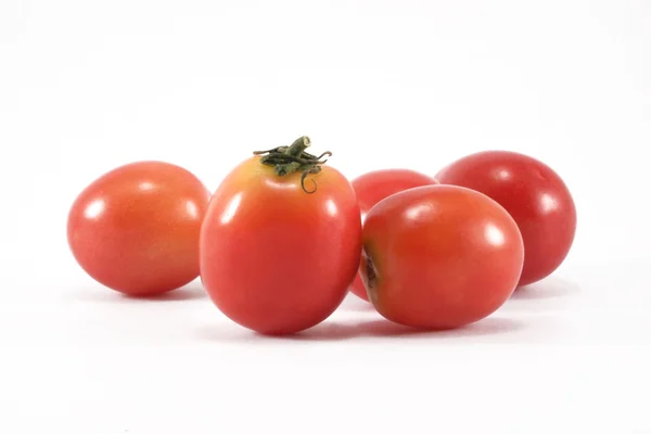 stock image Fresh tomatoes