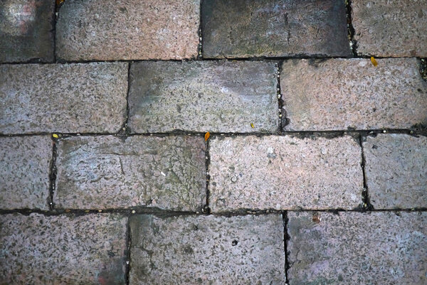 The brick walkway