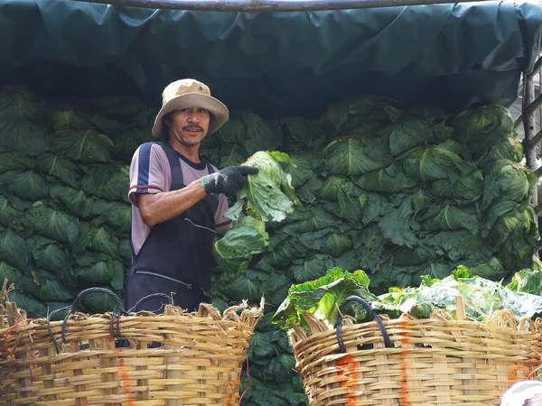 曼谷 6 月 2010.traders 是白菜被放入到客户在泰国曼谷运河 · 塔拉特白 basket.delivered — 图库照片