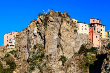 corniglia, cinque ter Köyü Uçurumdaki yüksek evler