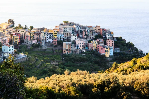 El pueblo medieval de Corniglia por la mañana, Cinque Terre, Ital —  Fotos de Stock