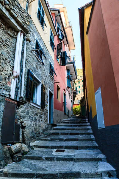 Calle estrecha en el pueblo de Manarola, Cinque Terre, Italia —  Fotos de Stock
