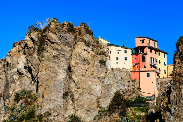 Houses High on the Cliff in the Village of Manarola, Cinque Terr — Zdjęcie stockowe
