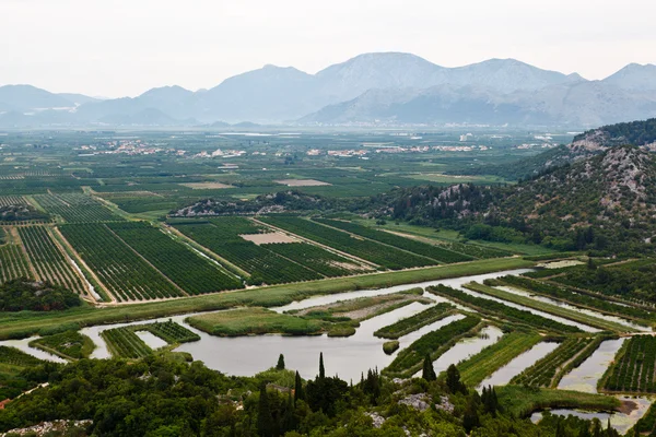 Сельское хозяйство в дельте реки недалеко от Дубровника, Хорватия — стоковое фото