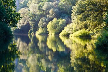 Beautiful Reflection on Cetina River near Split, Croatia clipart