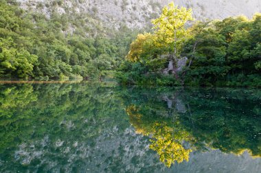 güzel yansıması nehir kenarında split, Hırvatistan