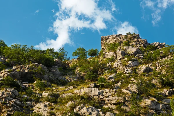 Klif w kanionie rzeki górskie w pobliżu Splitu, Chorwacja — Zdjęcie stockowe