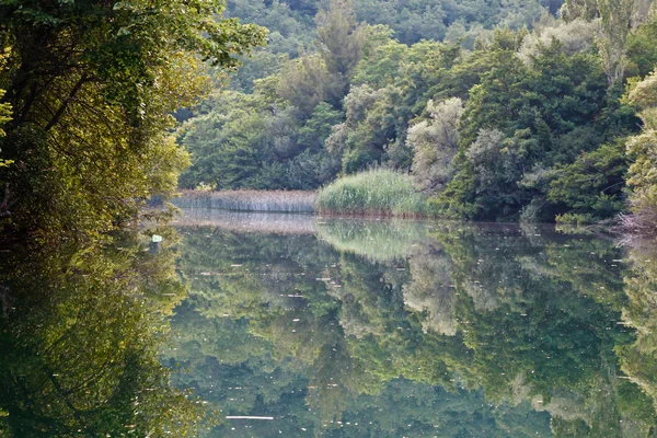 stock image Beautiful Reflection on the River near Split, Croatia