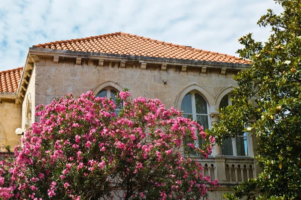 Huis en bloemen in dubrovnik, Kroatië — Stockfoto