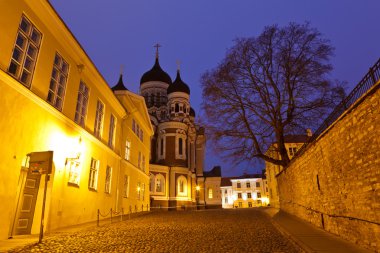 tallinn Alexander nevsky kilise gece, Estonya