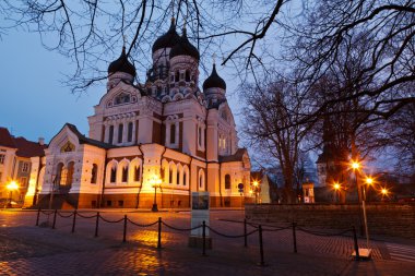 tallinn Alexander nevsky kilise gece, Estonya