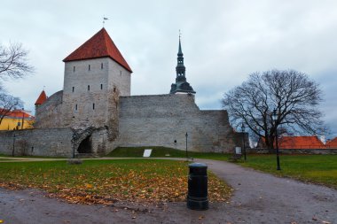 duvar ve towers eski Tallinn, Estonya