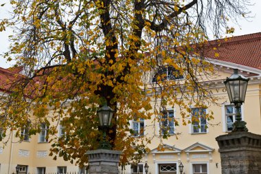 Sarı bina eski town, tallinn, Estonya