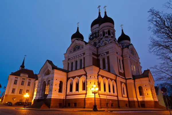 在晚上，爱沙尼亚塔林亚历山大 · 涅夫斯基教堂 — 图库照片